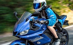 中国梦之声李锋